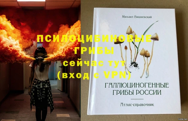 метамфетамин Абаза