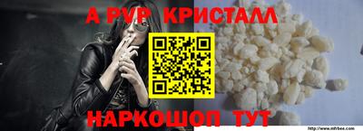 стафф Краснознаменск
