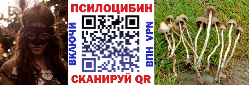 как найти закладки  Кизилюрт  Галлюциногенные грибы мицелий 