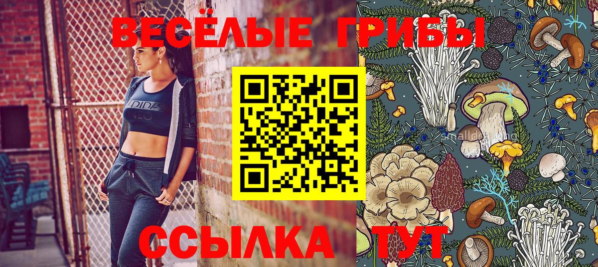 Галлюциногенные грибы GOLDEN TEACHER  купить   Кизилюрт  Вход с VPN 